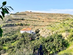Landhuis Vélez-Málaga € 650.000,-