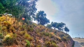 259924.jpg