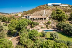 292881.jpg