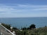 20-d1f7658cbe4ba6cd8666fec30fba80ad.jpg